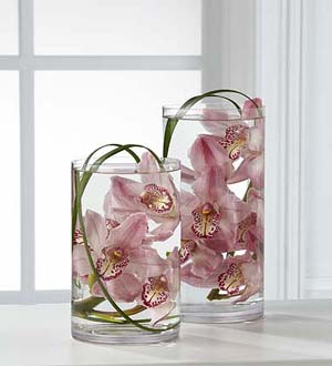 The FTD� Tranquil� Orchid Arrangement