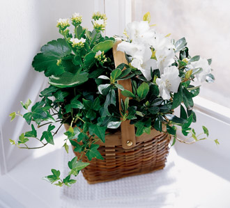 The FTD? White Assortment Basket