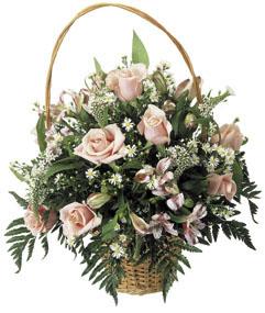 Basket Arrangement of Pink Roses