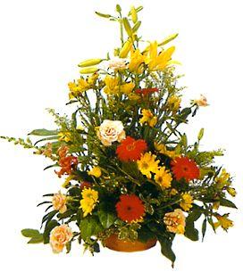 Arrangement of Cut Flowers