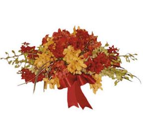 Tropical Arrangement