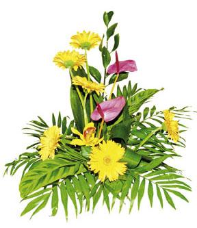 Arrangement of Cut Flowers