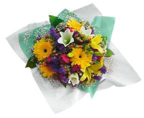 Mixed Cut Flowers