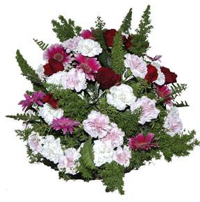 Arrangement of Cut Flowers