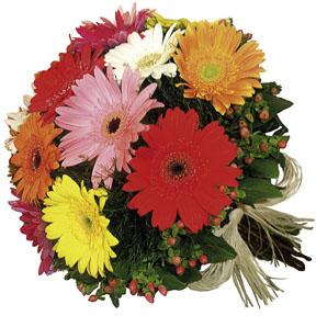 The FTD? Gerbera Bouquet