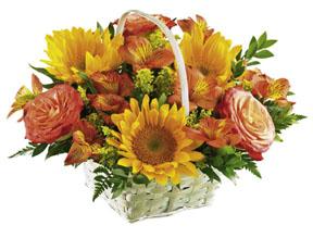 The FTD� Happy Blooms� Basket