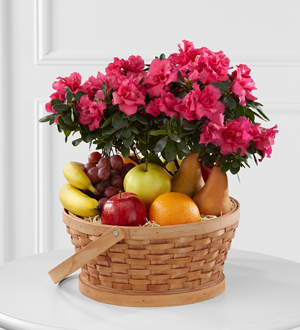 The FTD� Encircling Grace� Fruit & Plant Basket